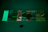 Glowry™ Luminous Wood Sample Kit – Glow-in-the-Dark Wood Finish Samples