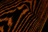 Raya de Tigre Naranja